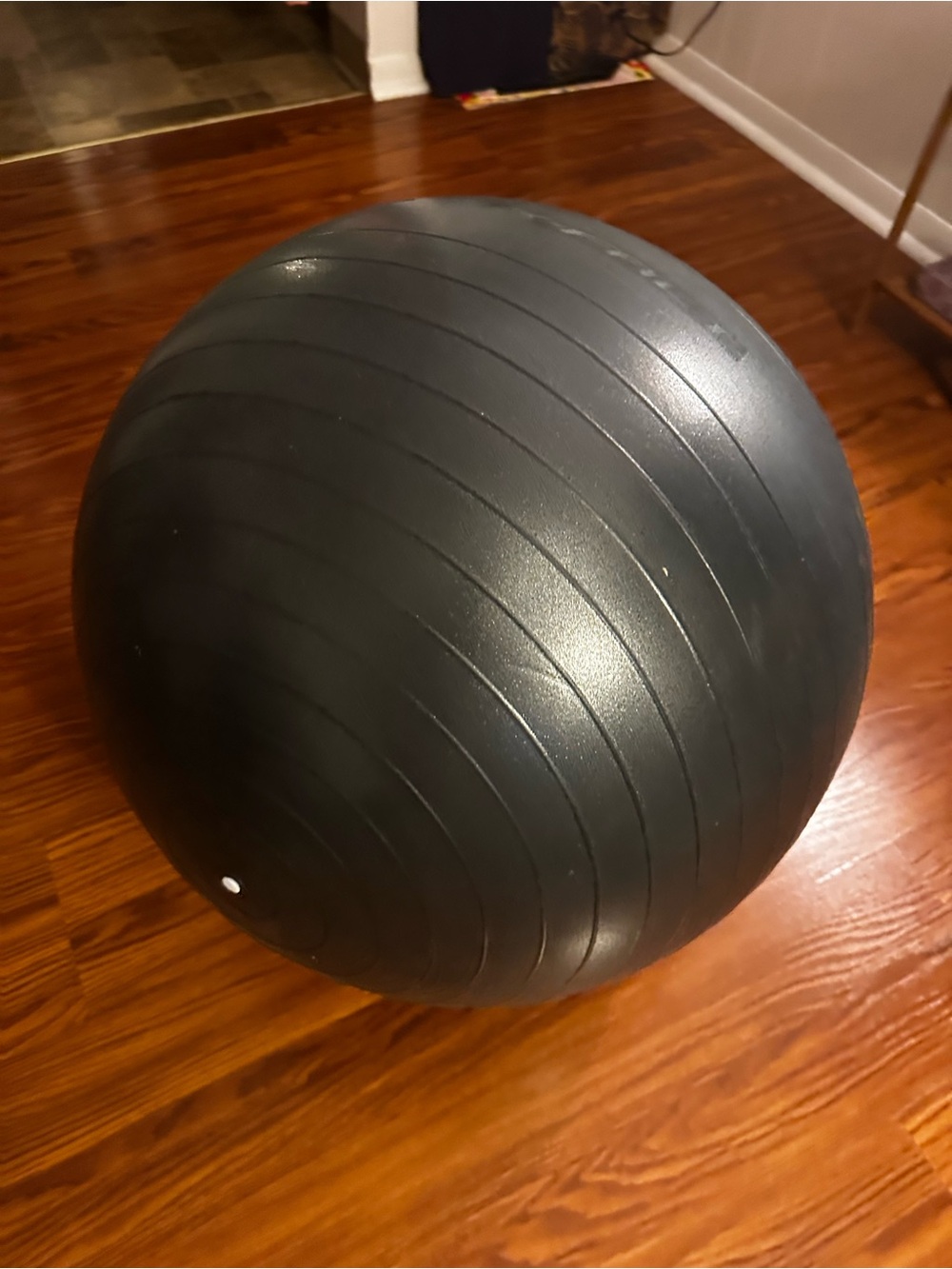 Exercise Stability Ball